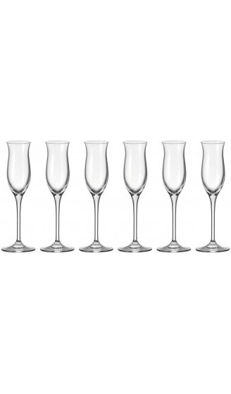 Leonardo Cheers Grappa-Gläser 6er Set spülmaschinenfeste Digestif-Gläser Schnaps-Glas mit gezogenem Stiel Likör-Gläser Set 9 cl 90 ml 061703 - B001BYIQ64G